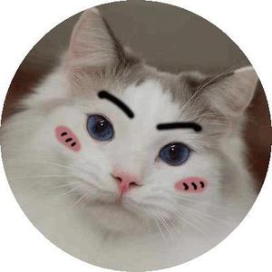 Milky是只猫 头像