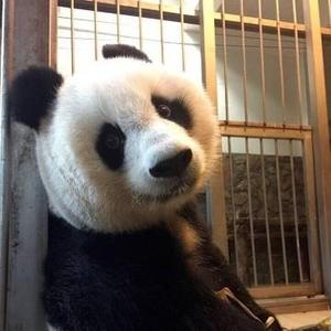 浮云带你看电影 头像