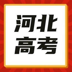 河北招生网 头像