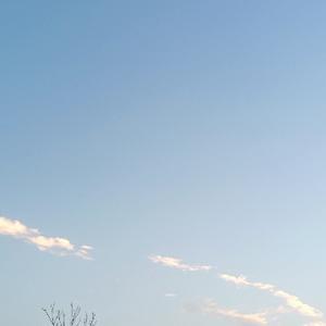 渊寄 头像