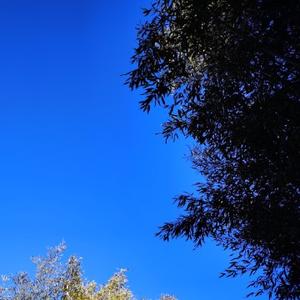 聪明的生活家q0 头像
