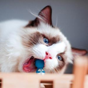 小满在读书 头像