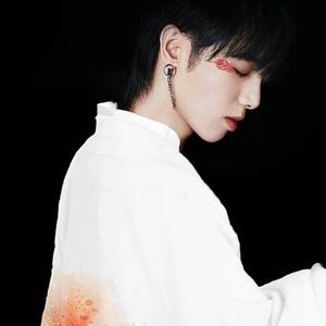 那只熊疯了 头像