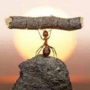 自由飞跃无限 头像