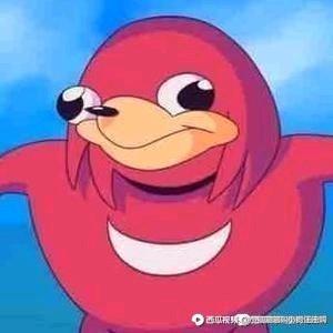 乌肝达纳克弩斯 头像