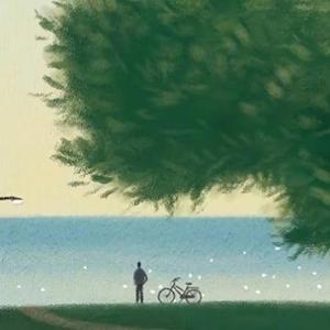 晚風心里吹