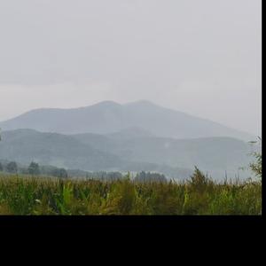 直言看天下 头像