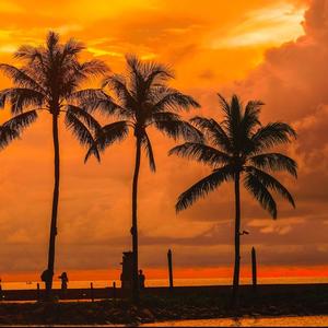 佛山大叔的旅游日记 头像