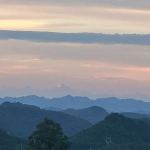 乐观的钢笔i 头像