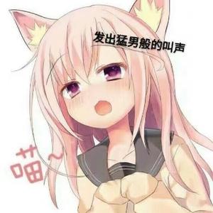 关注小弓不迷路