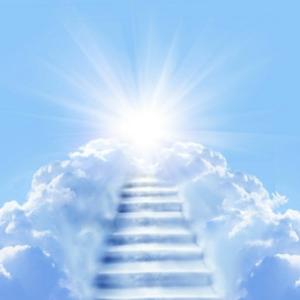 不凡明月生活Zm 头像