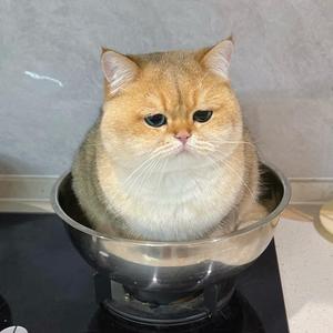 华子社长 头像