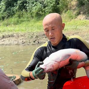 传献摸鱼（农村生活）头像