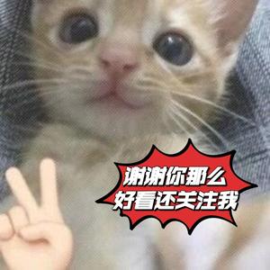 猫人说娱乐头像