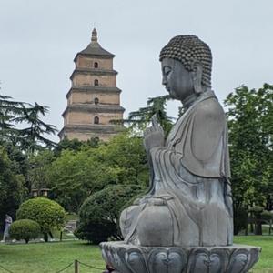 小草在歌唱 头像