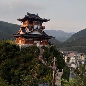 红花红颜