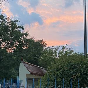 自由丹东9d0 头像