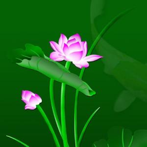 粗茶竹简