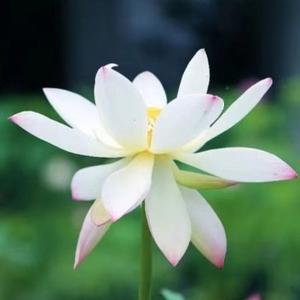 谈建忠读书 头像