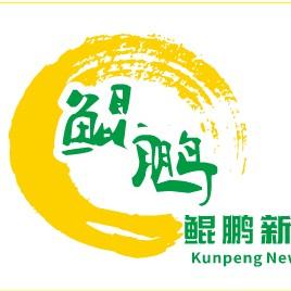 鲲鹏新能源 头像