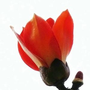 跑着一直跑 头像