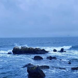 柳垂江下影 头像