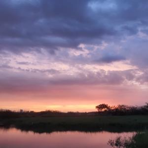 驾考特快部 头像