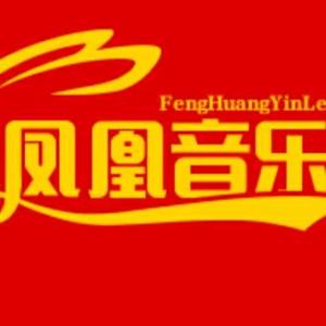 凤凰音乐大全 头像