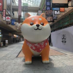 金angang 头像