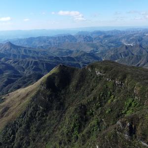 旅行大boss 头像