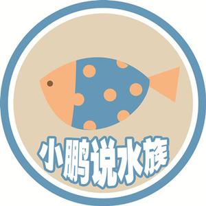 小鹏说水族头像