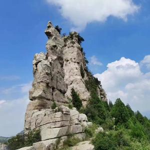 王大将军 头像