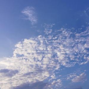 丫丫漫画ZL 头像