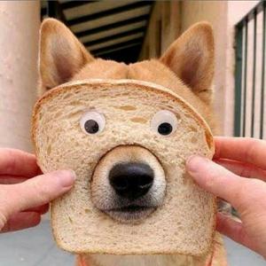 你琦琦7姐 头像