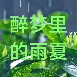 醉梦里的雨夏