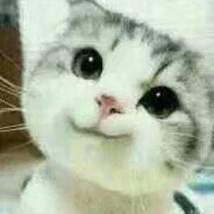 新新只爱嘻嘻 头像