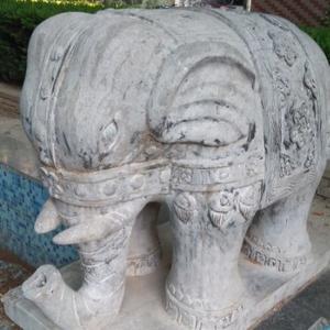 我住长江头N