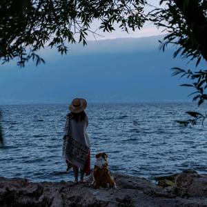 安的后半生 头像