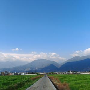 麻将搓一搓 头像