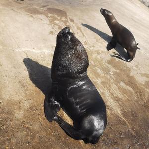 明天会更好 头像