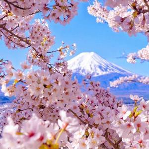 东京房公子 头像