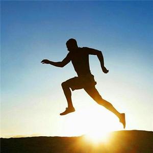 雁鸟候风来 头像