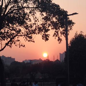 残寂79557707 头像