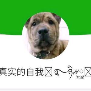 城市猎犬达人头像