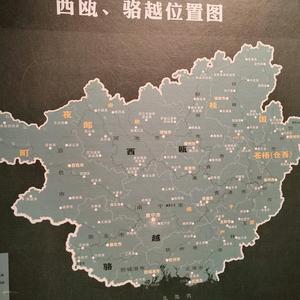 桂人聊世界 头像