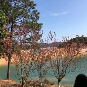 芽菜说百科全书 头像