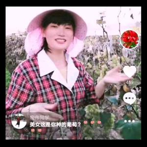 许家三妹登封健康送亲人 头像