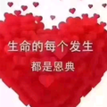 阳光华仔1