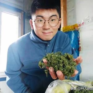 种人参的小石 头像