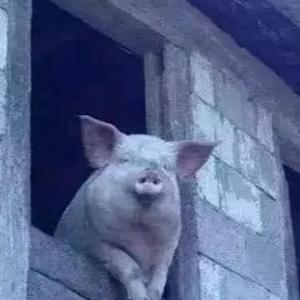 百晓生谈历史 头像